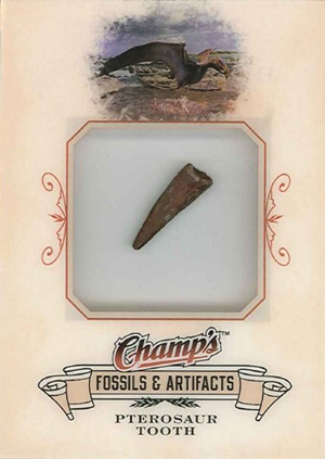 A 2008/09 NHL Champ’s Fossil card of a Pterosaur Tooth