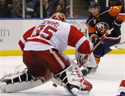 Red Wings Islanders Hockey