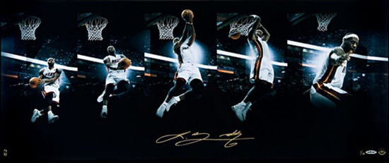 Art of the Dunk LeBron James