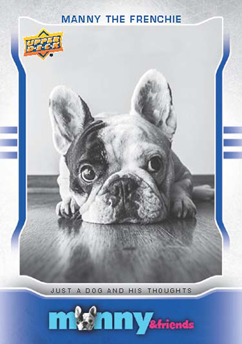 2015-Upper-Deck-Manny-the-Frenchie-Trading-Card-National-Sports-Collectors-Convention-1