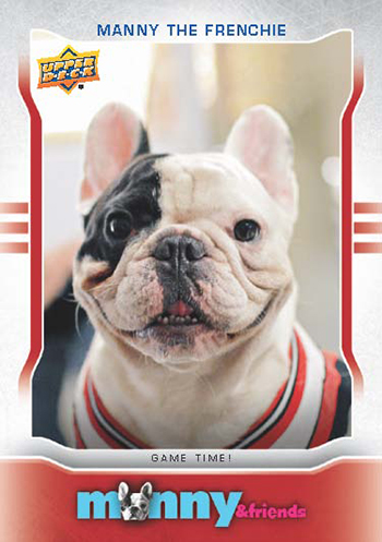 Upper Deck Manny the Frenchie Trading Card