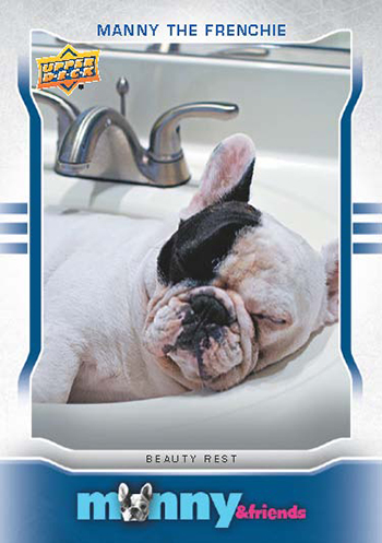 2015-Upper-Deck-Manny-the-Frenchie-Trading-Card-National-Sports-Collectors-Convention-4
