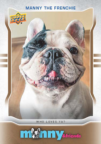 2015-Upper-Deck-Manny-the-Frenchie-Trading-Card-National-Sports-Collectors-Convention-5