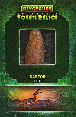 2015-Upper-Deck-Dinosaurs-Fossil-Relic-Cards-Raptor-Tooth