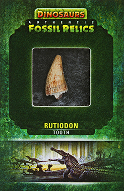 2015-Upper-Deck-Dinosaurs-Fossil-Relic-Cards-Rutidon-Tooth