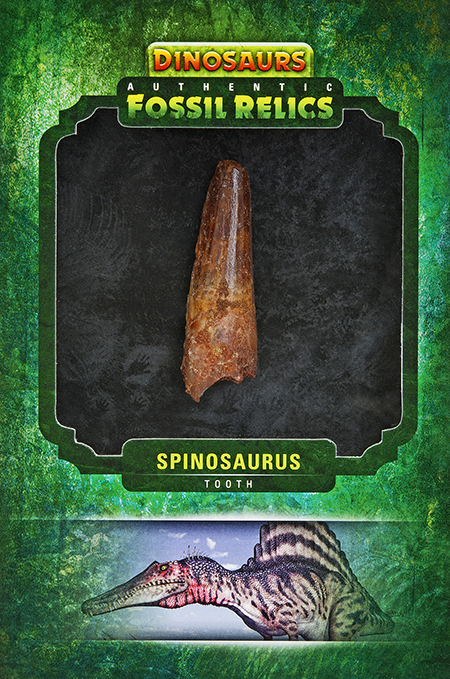 2015-Upper-Deck-Dinosaurs-Fossil-Relic-Cards-Spinosaurus-tooth