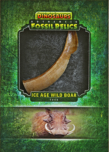 2015-Upper-Deck-Dinosaurs-Fossil-Relic-Cards-Wild-Boar-Tusk