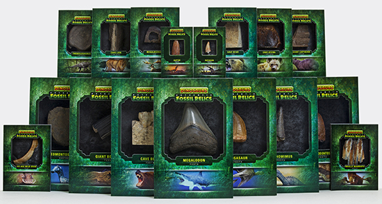 2015-Upper-Deck-Dinosaurs-Fossil-Relic-Cards
