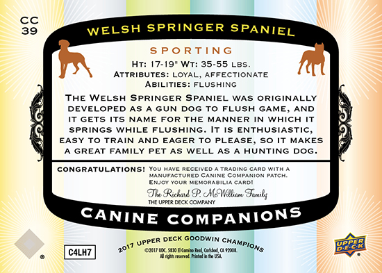 2017-Goodwin-Champions-Canine-Companions-CC39-Welsh-Springer-Spaniel-Back