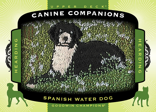 2017-Goodwin-Champions-Canine-Companions-CC75-Spanish-Water-Dog.