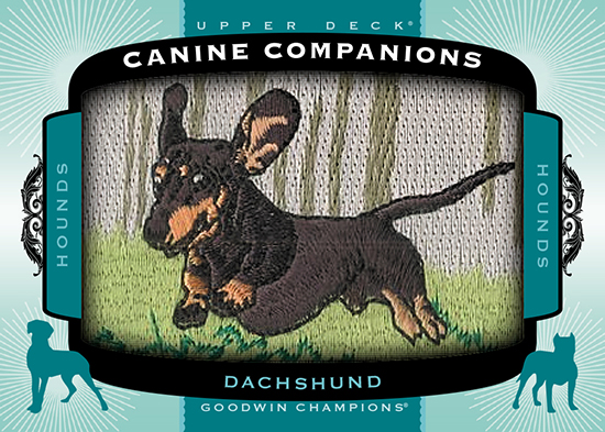 2017-Goodwin-Champions-Canine-Companions-CC81-Dachshund