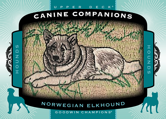 2017-Goodwin-Champions-Canine-Companions-CC85-Norwegian-Elkhound