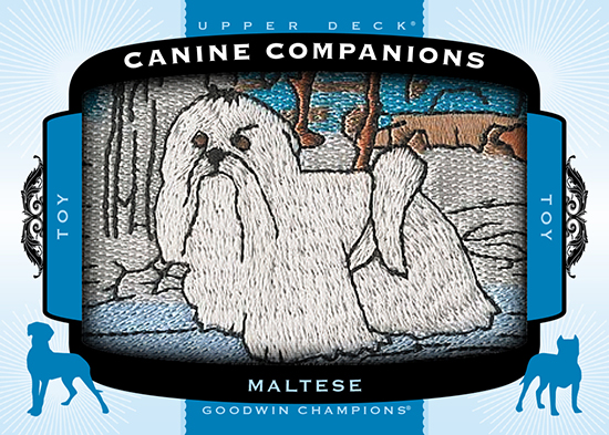 2017-Goodwin-Champions-Canine-Companions-CC91-Maltese