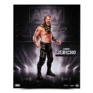 Chris Jericho standing on AEW stage